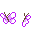 ¤.¤